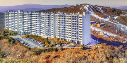303 Sugar Top Drive Unit 2008, Sugar Mountain