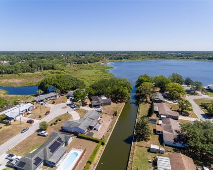 1211 Lady Guinevere Drive, Valrico