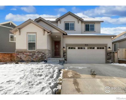531 Ranchhand Drive, Berthoud