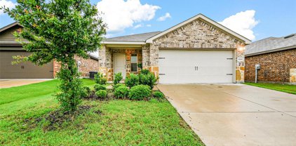 1214 Delmita  Drive, Forney