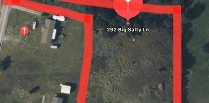 292 Big Salty  Lane, Springtown