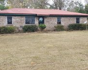 1143 County Rd 119, Abbeville image