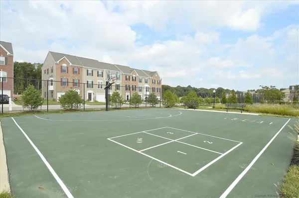 Tanyard springs basketball courts