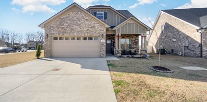 357 Moccasin Trl, Spring Hill