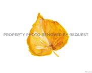 1304 Fremont Drive, Larkspur image