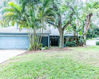 1733 Pine Hill Court, Safety Harbor