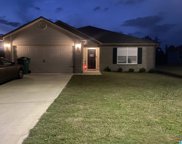 1094 Brookhaven Drive, Odenville image
