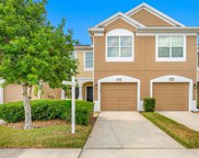 10208 Red Currant Court, Riverview image