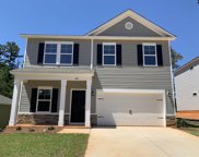 1014 Flat Coat Lane, Chapin image