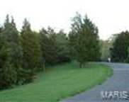 2166 Meadow Forest  Drive, Wildwood image