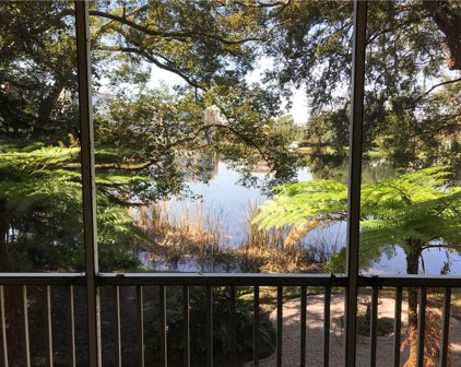 1100 Delaney Avenue Unit F206, Orlando
