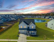 151 Garden Lily Lane, Summerville image