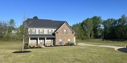 117 Peppermill Trail, Boiling Springs