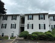 17 Lexington Hill Unit #10, Harriman image