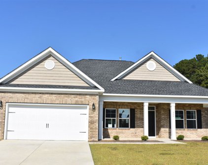 304 Box Elder Way, Longs