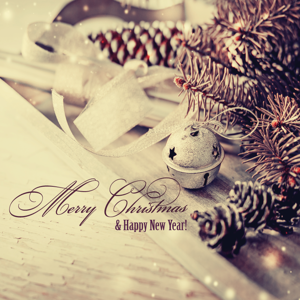 Happy Holidays-realtor-Marshall-Toney
