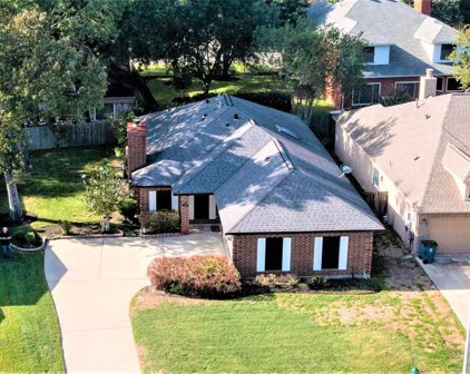 19019 Volley Vale Court, Humble