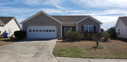 232 Red Carnation Drive, Holly Ridge