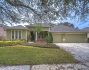 313 Carriage Oak Place, Seffner image