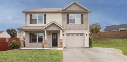 205 Mariner Court, Greer