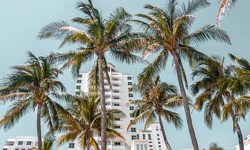 Fort Lauderdale Real Estate