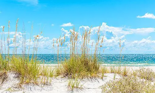 Indian Rocks Beach Real Estate