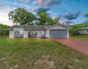 10475 Abbeville Street, Spring Hill image
