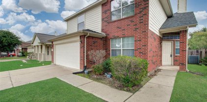 21518 Skyla Circle, Humble