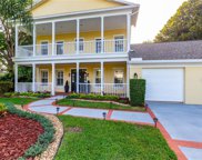 15704 Mifflin Court, Tampa image