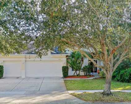 13539 Paloma Drive, Orlando
