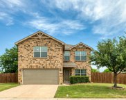 3949 Grizzly Hills  Circle, Fort Worth image