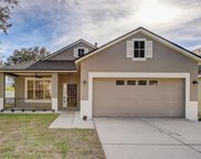 12737 Bramfield Drive, Riverview image