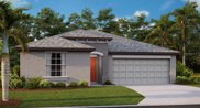 10364 Shady Preserve Drive, Riverview image