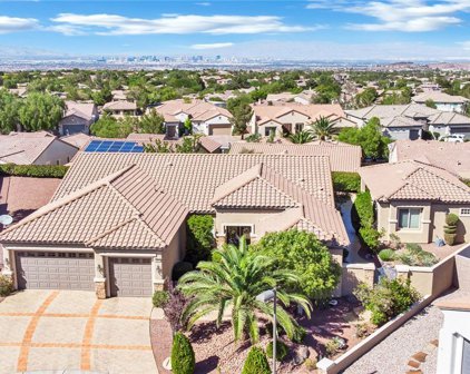 2078 Rose Pine Court, Henderson