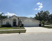 11811 Stonewood Gate Drive, Riverview image