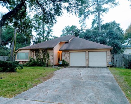 22303 Mosswillow Lane, Tomball
