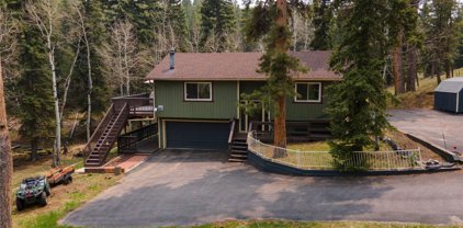 12148 Circle Drive, Conifer