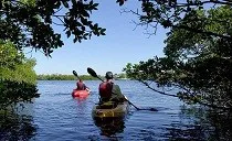 kayaking in cape coral