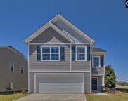 451 N High Duck Trail, Blythewood image