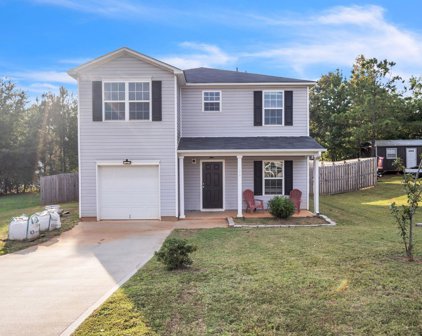 106 Botany Drive, Laurens