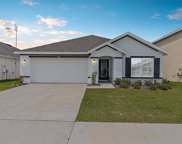 4041 Autumn Amber Drive, Spring Hill image