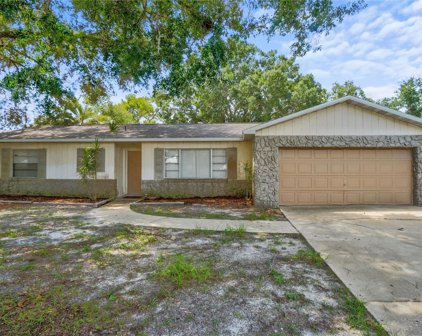8910 Havasu Drive, Orlando