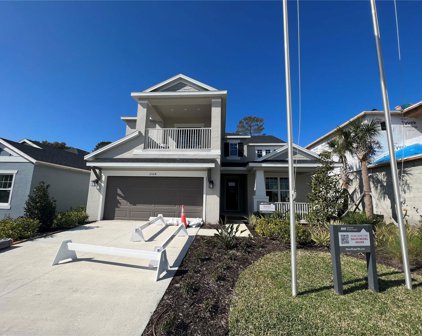 2564 Leafwing Court, Palm Harbor