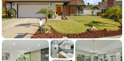 9217 Samantha Ct, Rancho Penasquitos