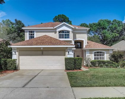 431 Randon Terrace, Lake Mary