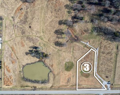 9142 Horton Hwy, College Grove