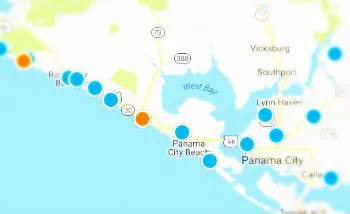 MAP SEARCH