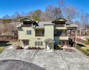 1729D Watercrest Way, Young Harris image