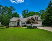 175 Stoney Pointe Drive, Chapin image