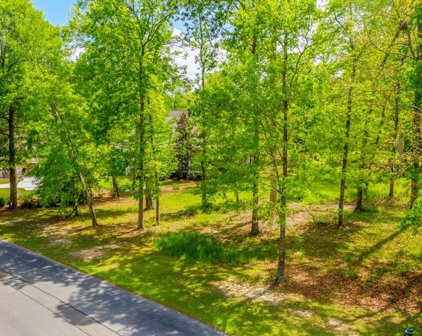 18 Indigo Plantation Road, Okatie